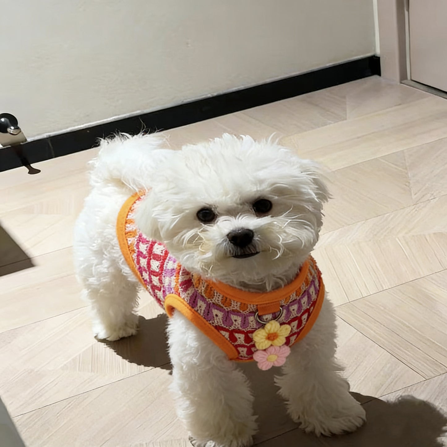 Knit sweater, floral sleeveless top, soft and stretchy fabric. The wind blows gently as I walk along, my two feet feeling light.