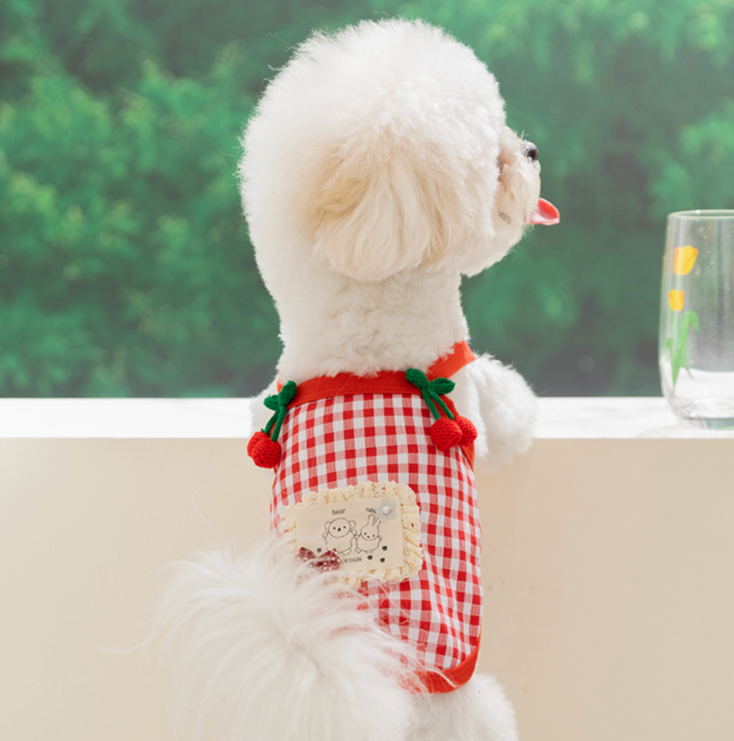 Spring/Summer Character Plaid Cherry Sleeveless Two-Legged Clothes | Exclusive for Small/Medium Dogs · Energetic Street Look