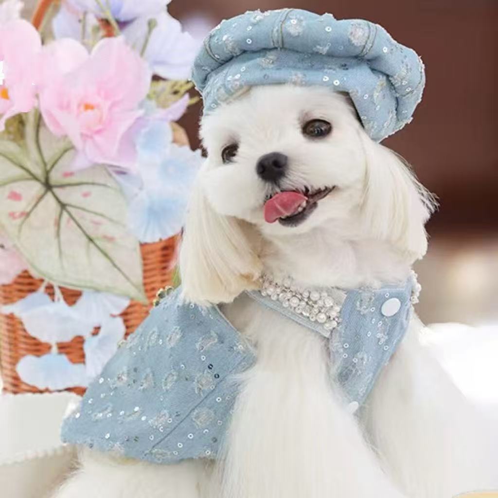 Sky Blue Little Scented Wind Princess Skirt | Small Dog Exclusive · French Elegant Style