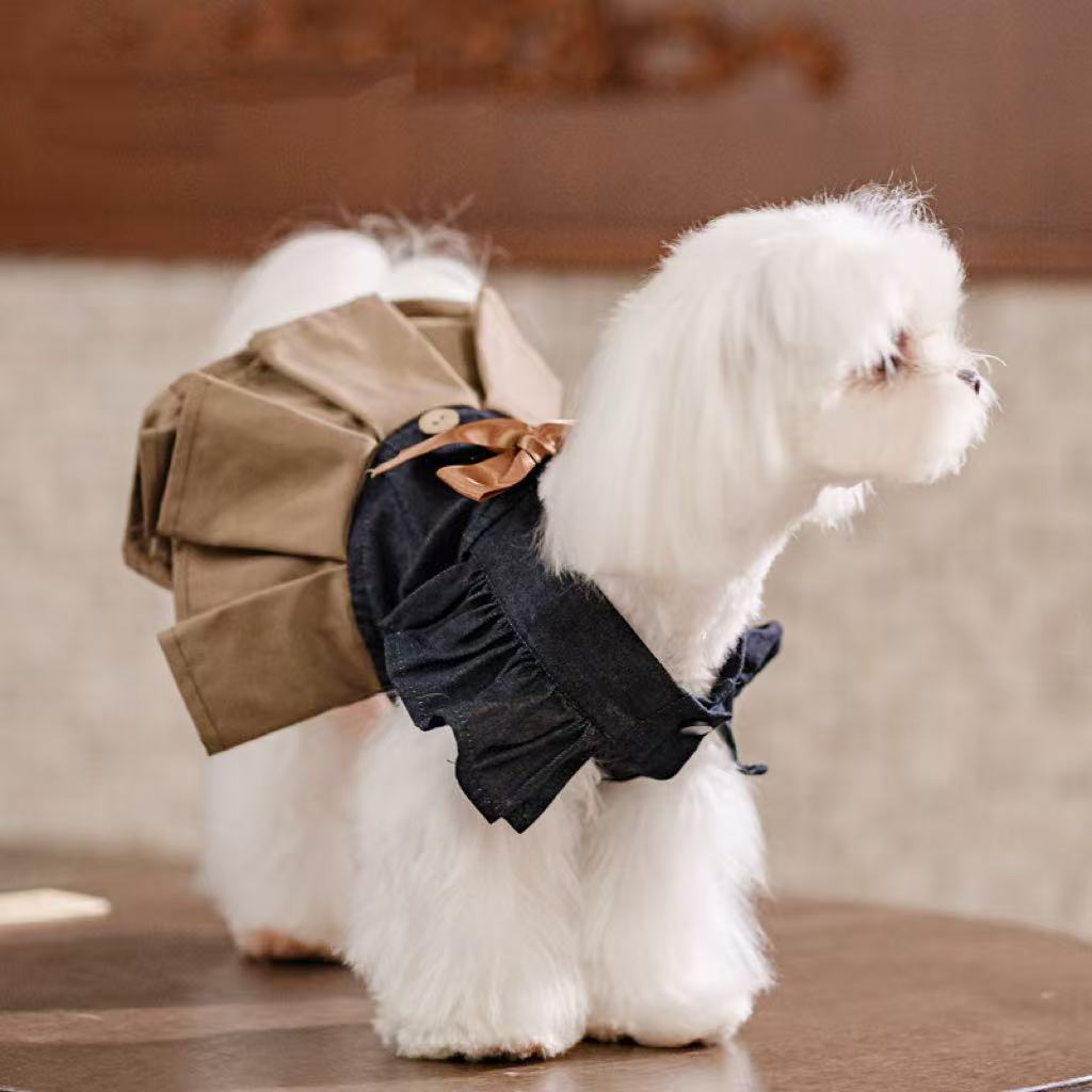 British academy princess dress | Exclusively for small dogs · The elegance of a gentleman and a lady
