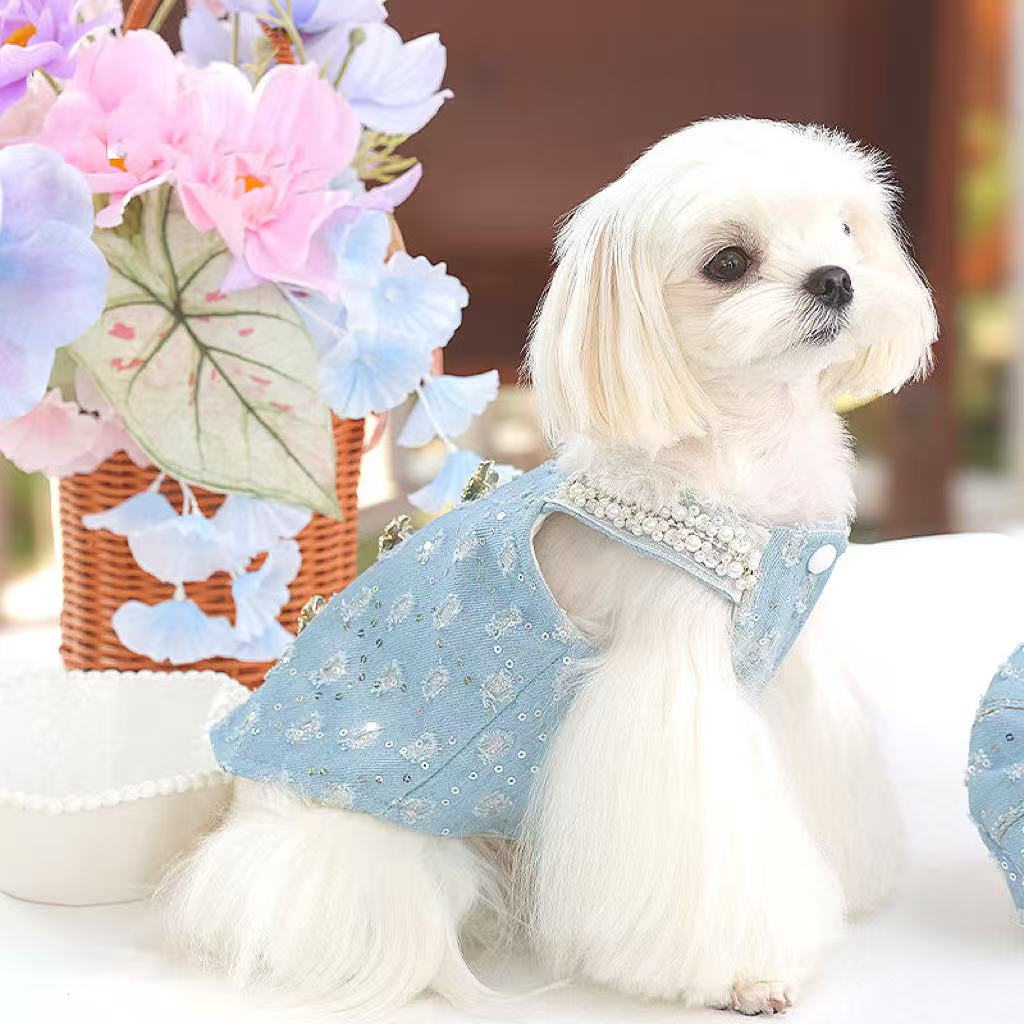 Sky Blue Little Scented Wind Princess Skirt | Small Dog Exclusive · French Elegant Style
