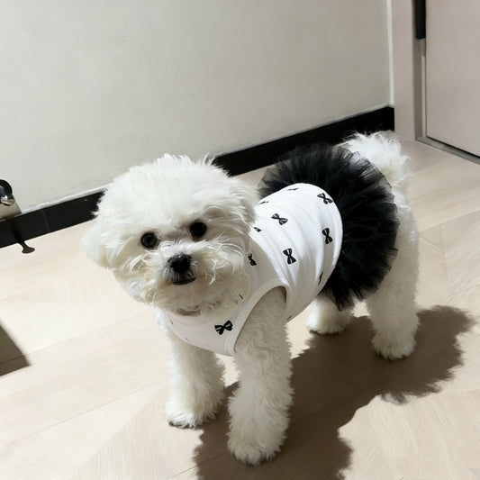 로리 가벼운 사치스러운 공주 치마 | 소형견 전용 · 고정이 정교 범