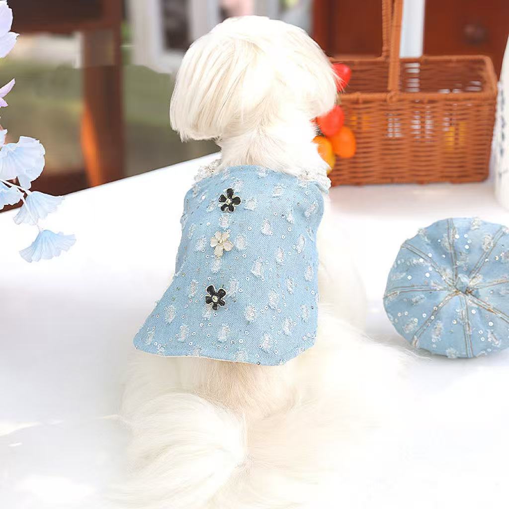 Sky Blue Little Scented Wind Princess Skirt | Small Dog Exclusive · French Elegant Style