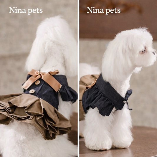 British academy princess dress | Exclusively for small dogs · The elegance of a gentleman and a lady