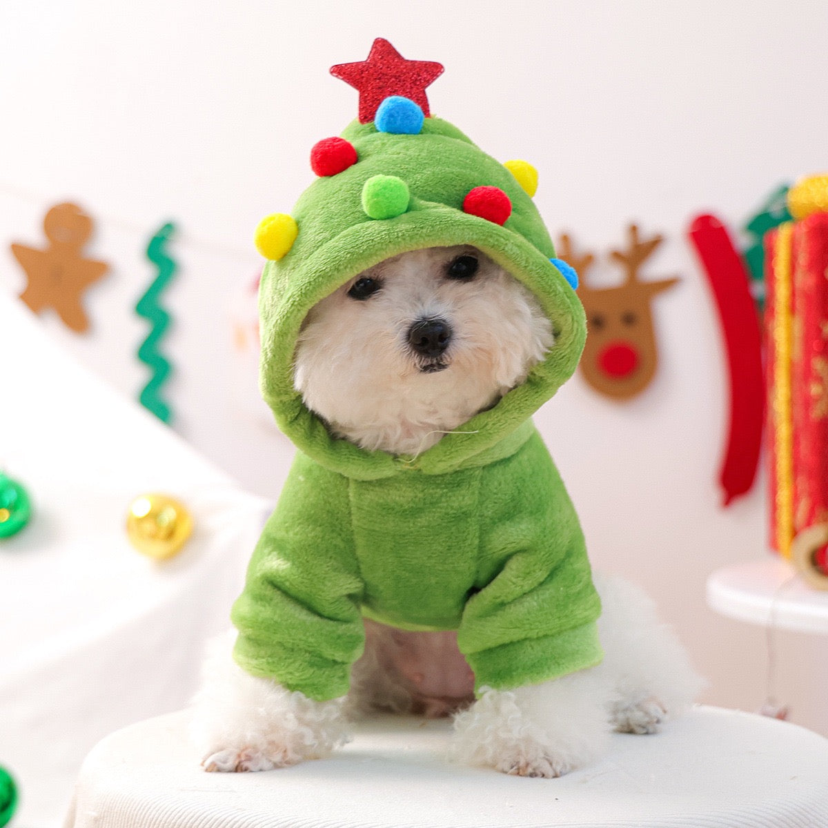 Character Dog Hoodie | Cuteness overload the moment they wear it