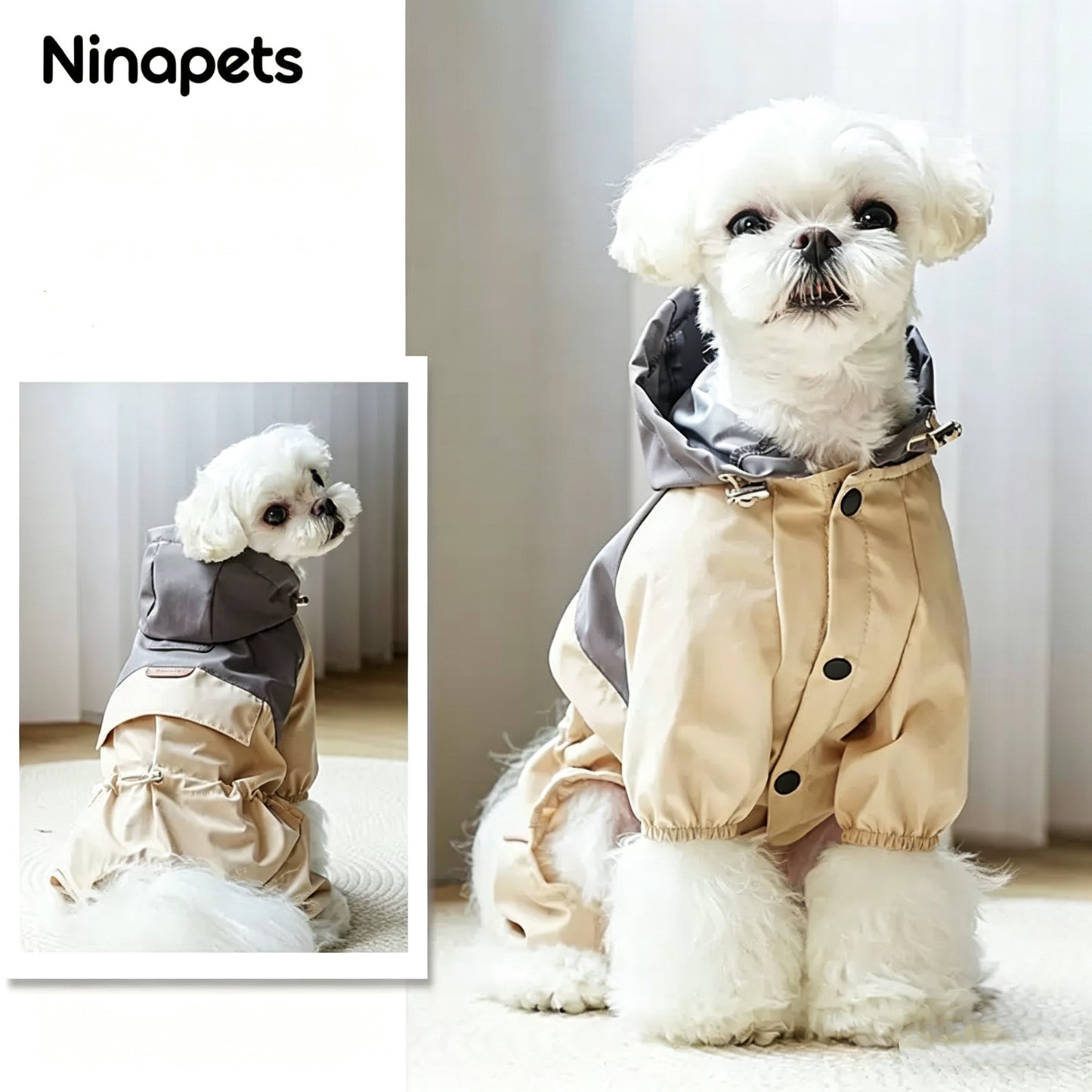 Character Dog Hoodie | Cuteness overload the moment they wear it
