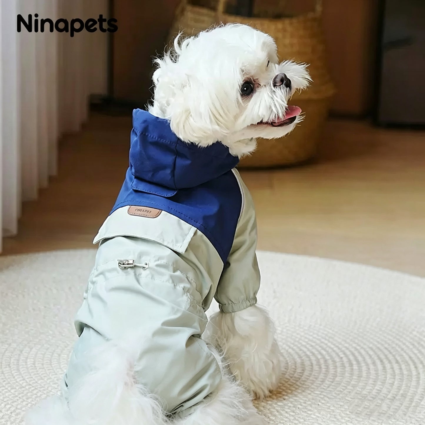 Character Dog Hoodie | Cuteness overload the moment they wear it