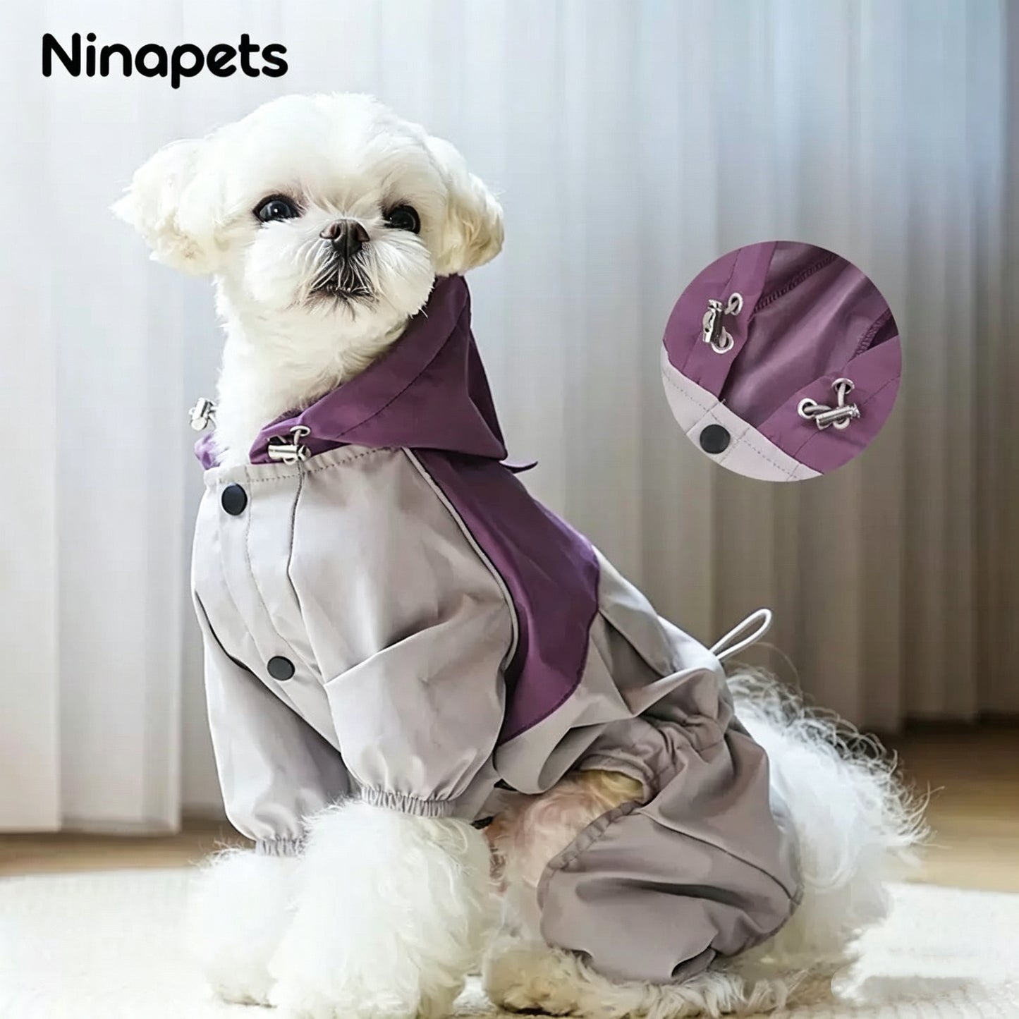 Character Dog Hoodie | Cuteness overload the moment they wear it