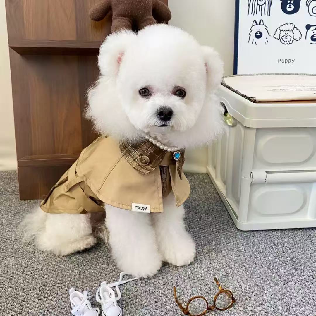 Vintage British Style Dog Cape Jacket | Luxurious Daily Look