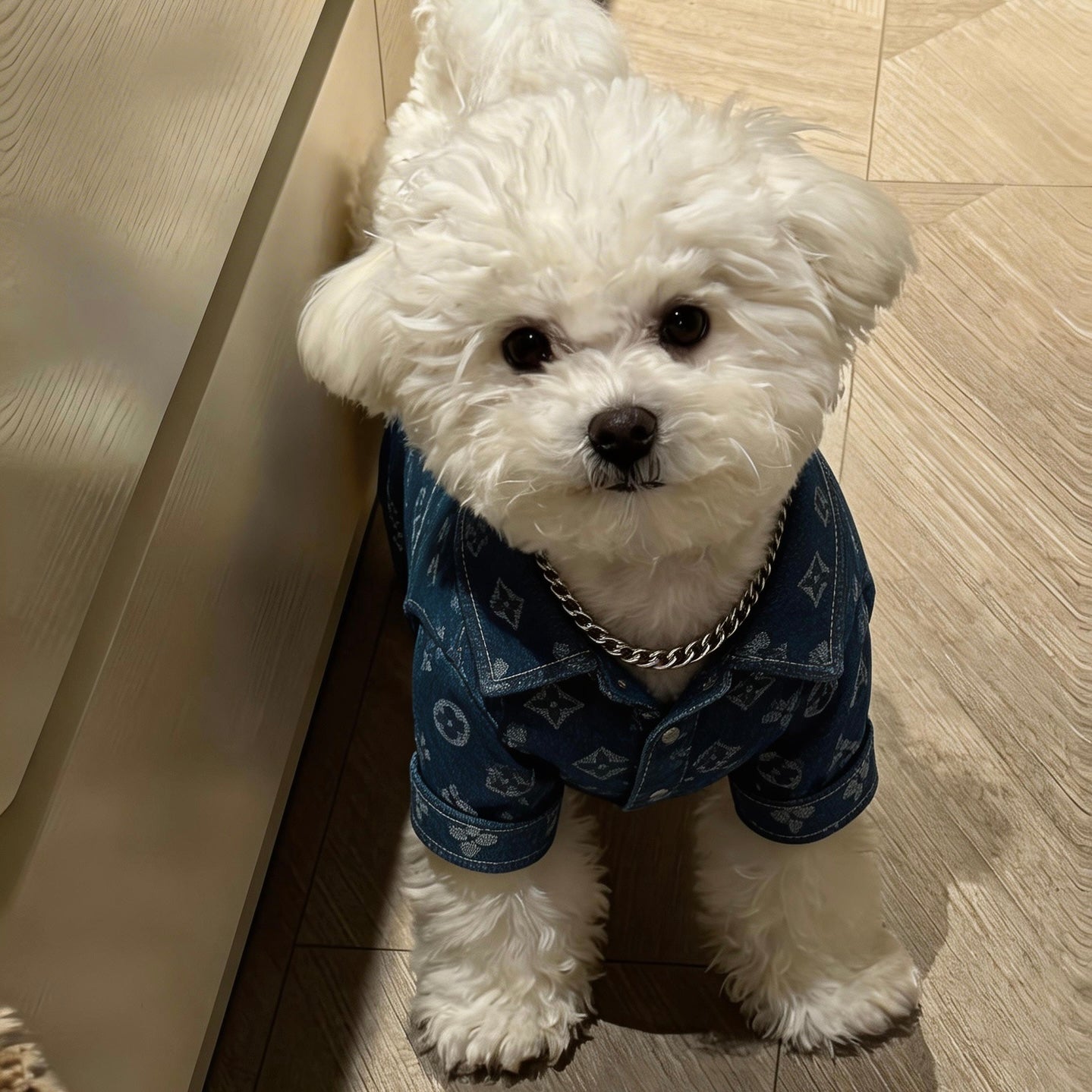 Denim Monogram Dog Shirt | Street Luxury Style