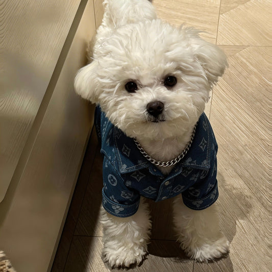 Denim Monogram Dog Shirt | Street Luxury Style