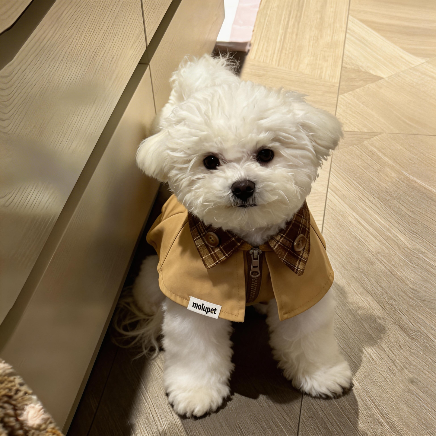 Vintage British Style Dog Cape Jacket | Luxurious Daily Look